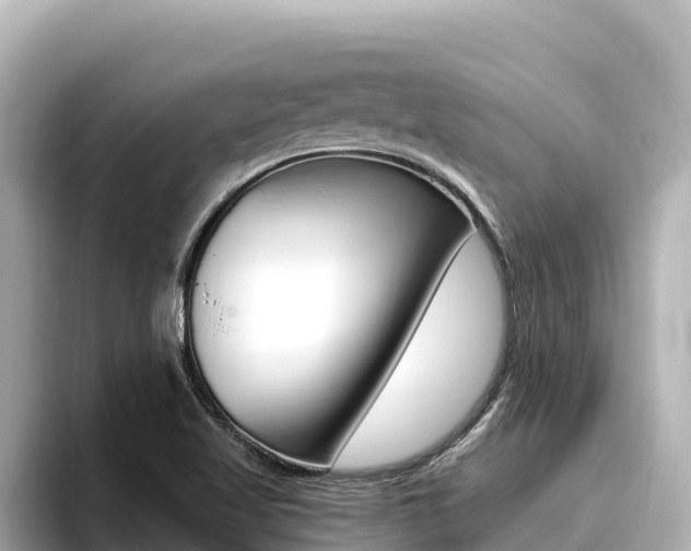 X0000096681509200802051019