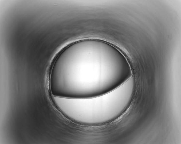 X0000096681510200802051019