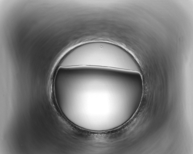 X0000096681511200802051019