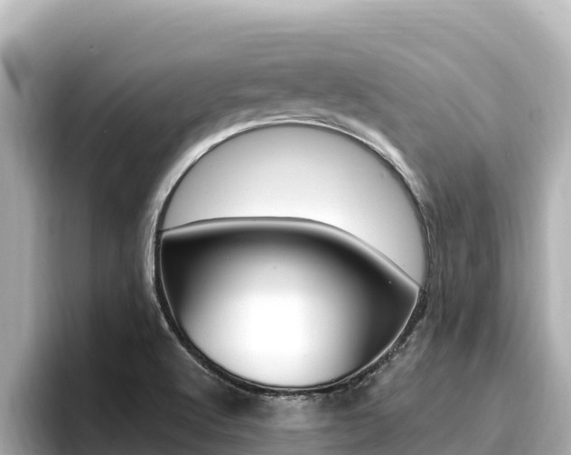 X0000096681512200802051019