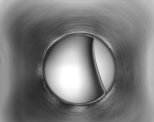 X0000096681513200802051019