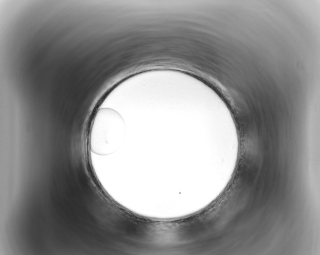 X0000096681514200802051019
