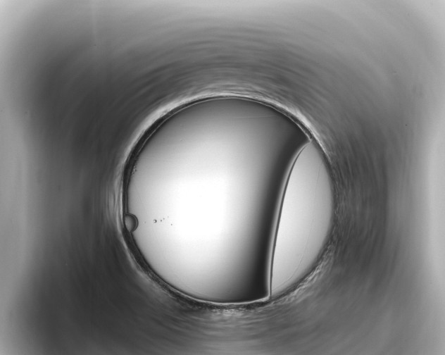 X0000096681515200802051019