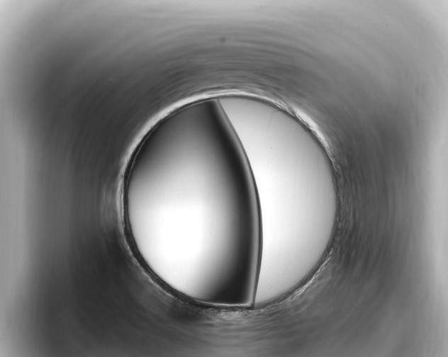 X0000096681516200802051019