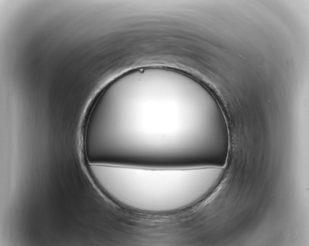 X0000096681517200802051019