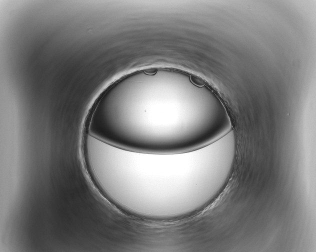 X0000096681518200802051019