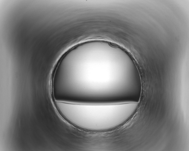 X0000096681519200802051019