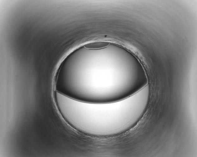 X0000096681520200802051019