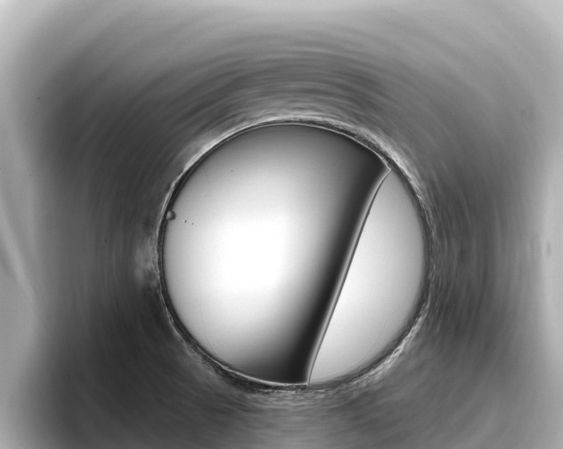 X0000096681521200802051019
