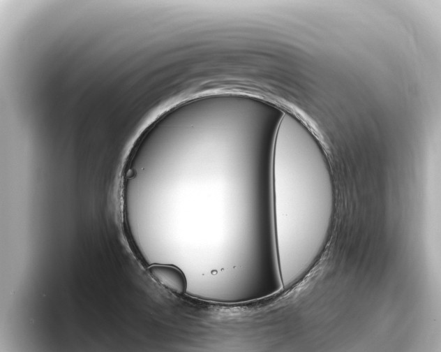 X0000096681522200802051019