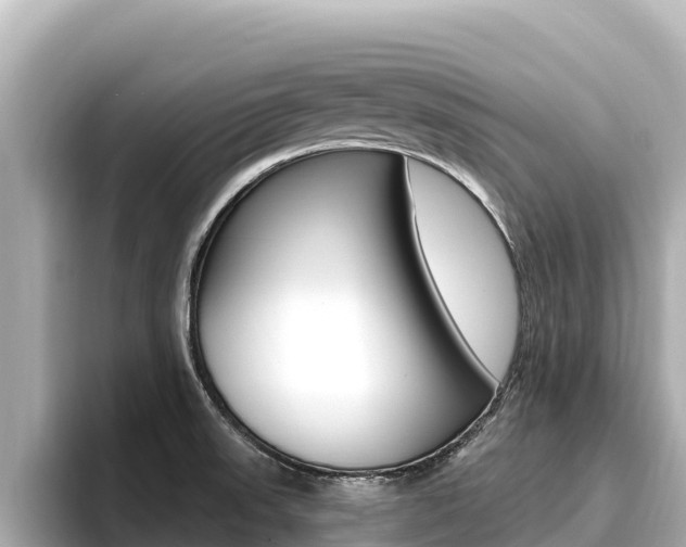 X0000096681523200802051019