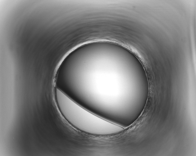 X0000096681524200802051019
