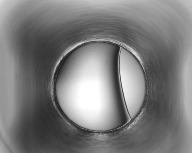 X0000096681525200802051019