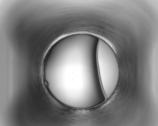 X0000096681526200802051020