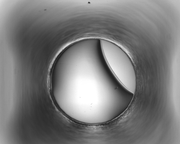 X0000096681527200802051020
