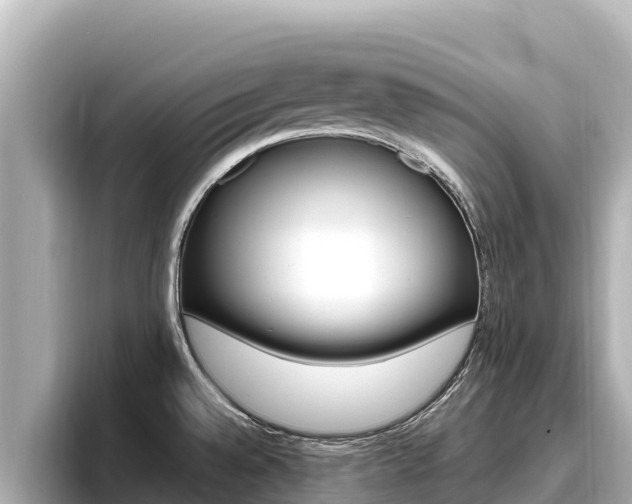 X0000096681528200802051020