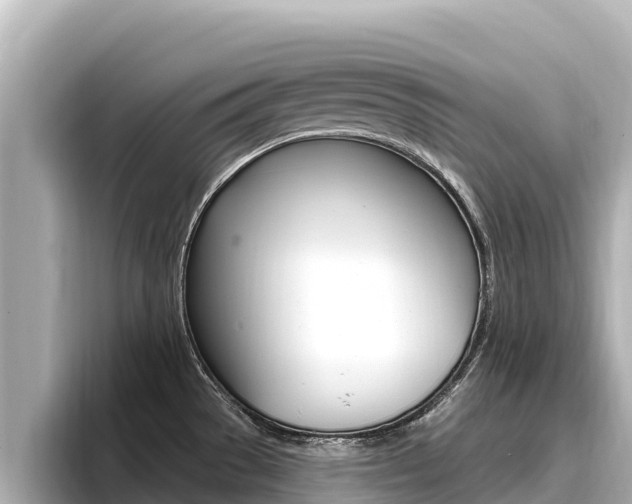 X0000096681529200802051020