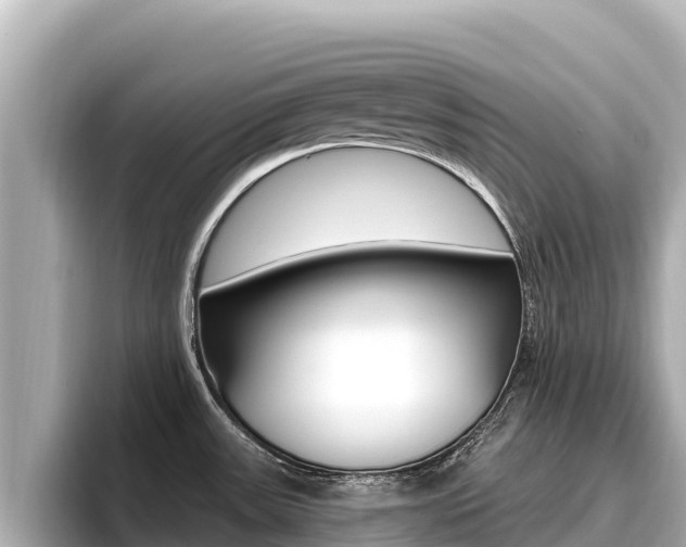 X0000096681531200802051020
