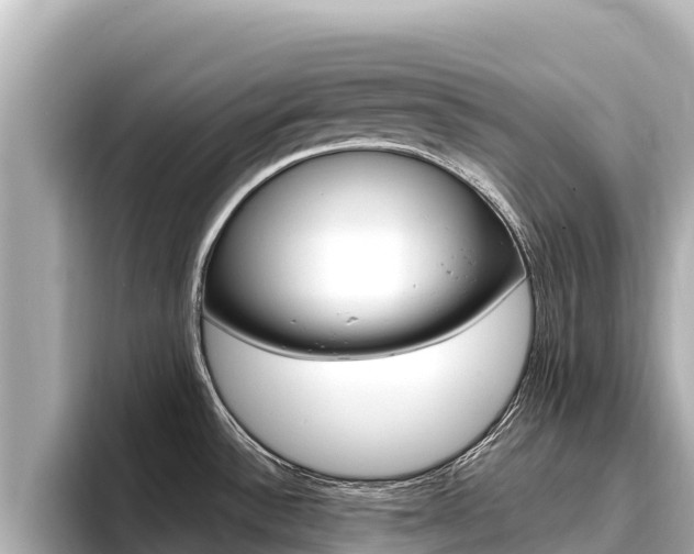 X0000096681532200802051020