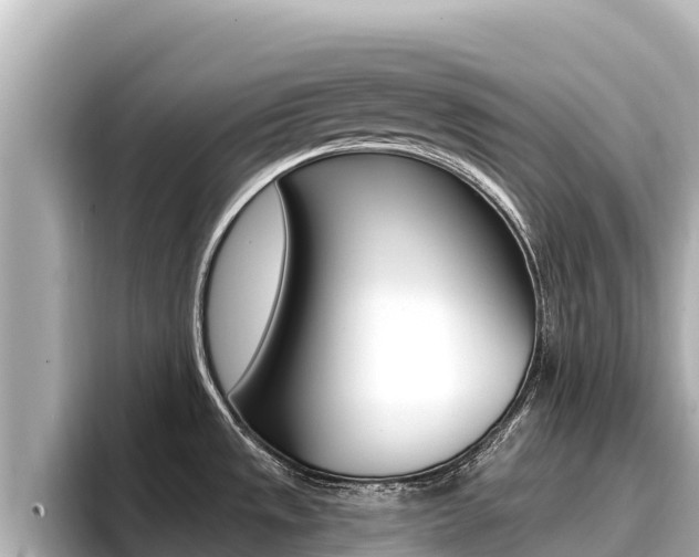 X0000096681533200802051020
