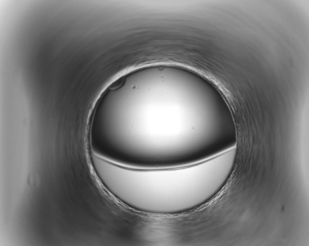 X0000096681534200802051020