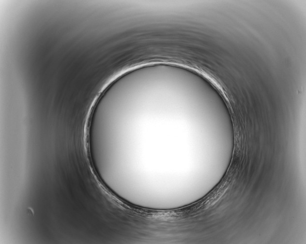 X0000096681535200802051020
