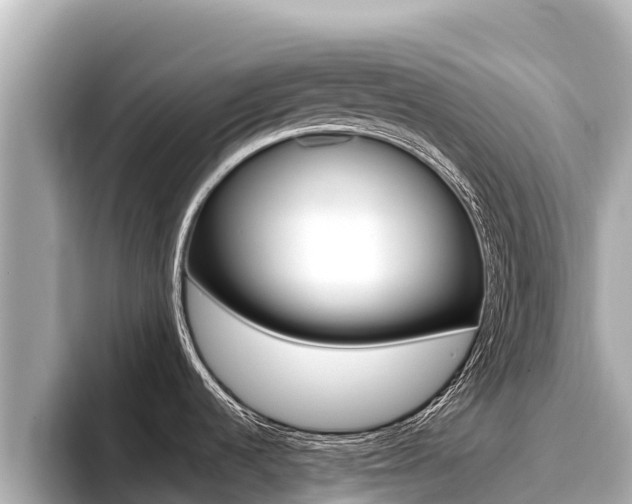 X0000096681536200802051020