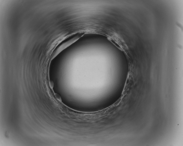 X0000096680001200802051256