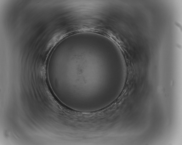X0000096680002200802051256