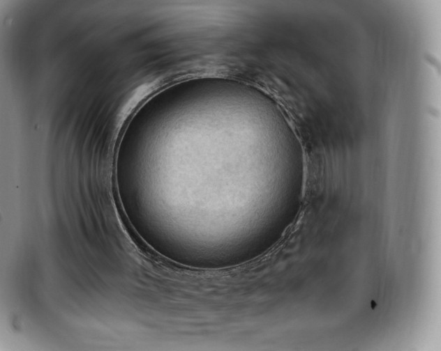 X0000096680003200802051256
