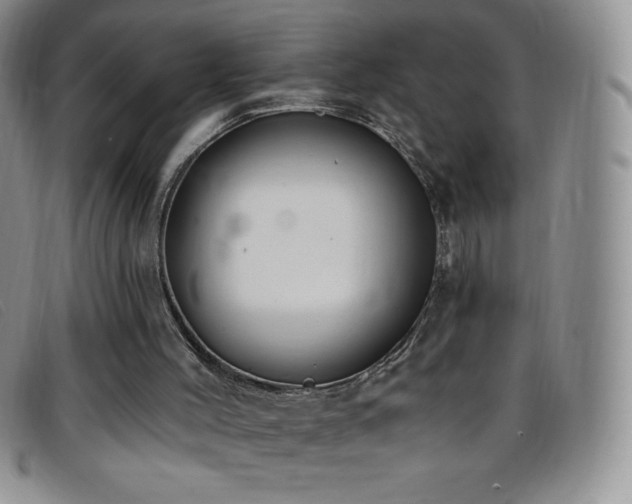 X0000096680004200802051256