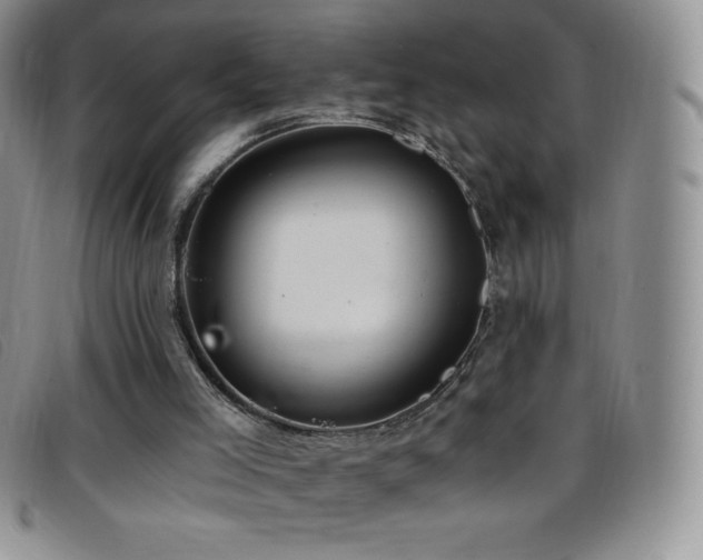 X0000096680005200802051256
