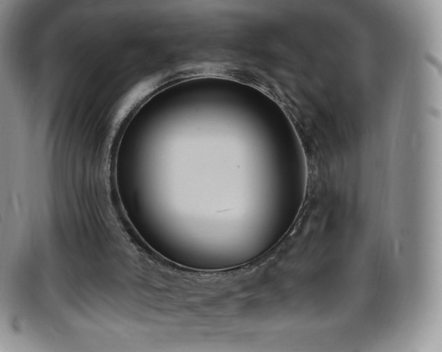X0000096680006200802051256