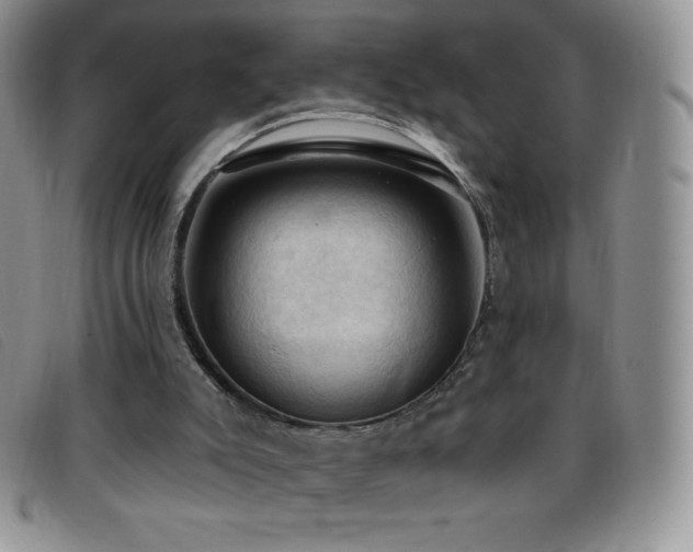 X0000096680007200802051256