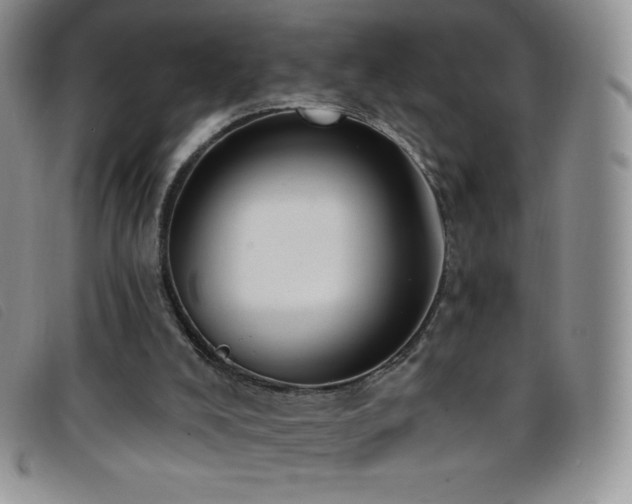 X0000096680008200802051256