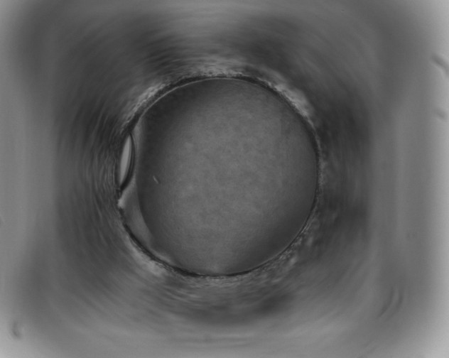 X0000096680009200802051256
