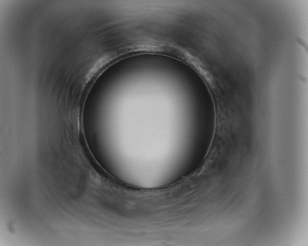 X0000096680011200802051256