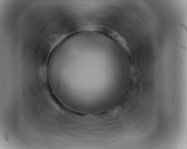 X0000096680012200802051256