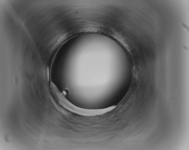 X0000096680013200802051256