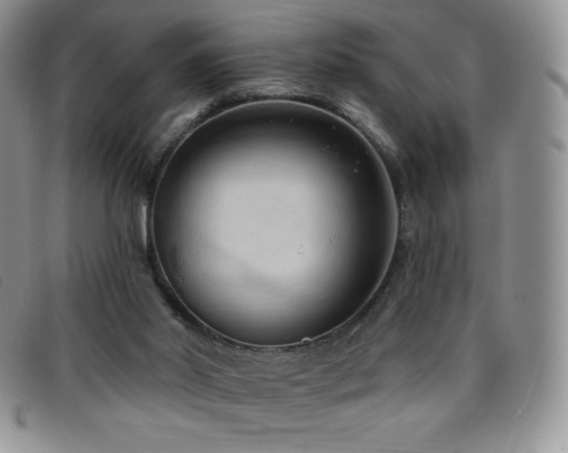 X0000096680014200802051256