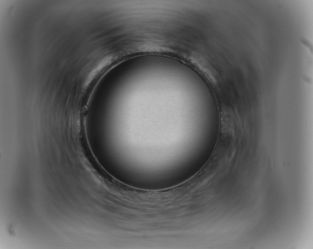 X0000096680015200802051256