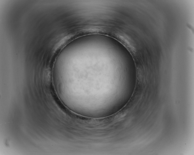 X0000096680016200802051256