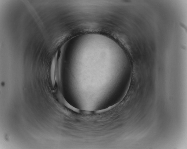 X0000096680017200802051256