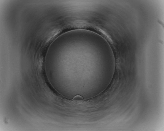X0000096680018200802051256