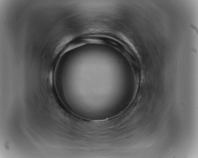 X0000096680019200802051256