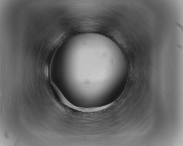 X0000096680021200802051256