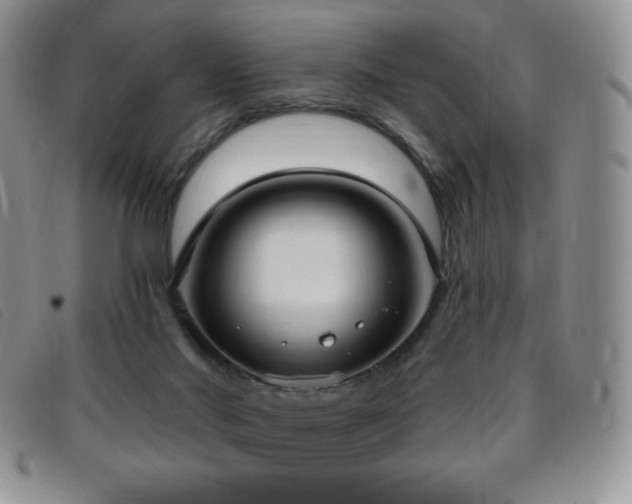 X0000096680022200802051256