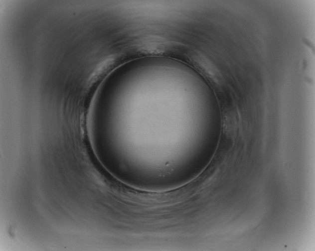 X0000096680023200802051256