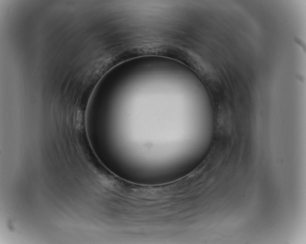 X0000096680025200802051256