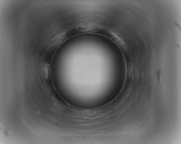 X0000096680026200802051256